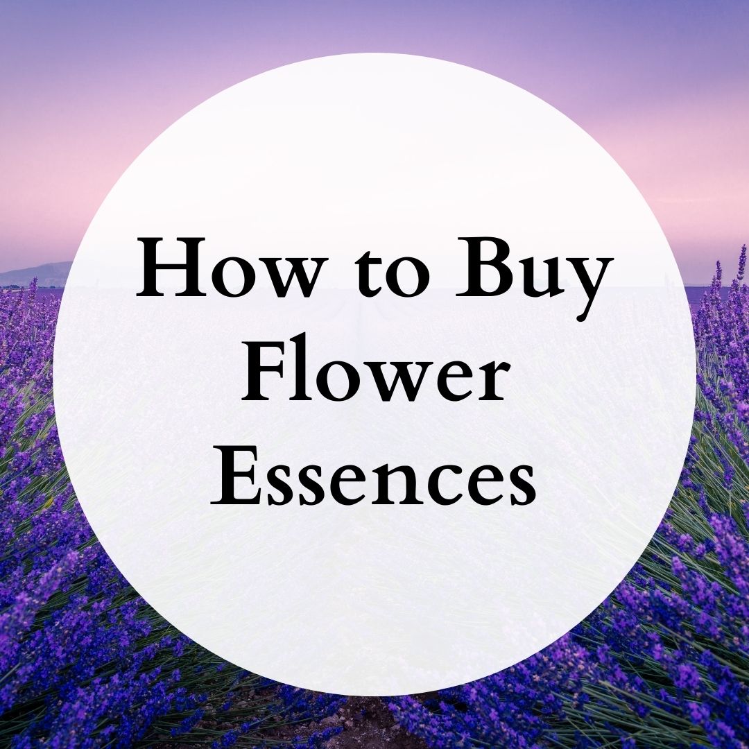 image from How to Buy Flower Essences