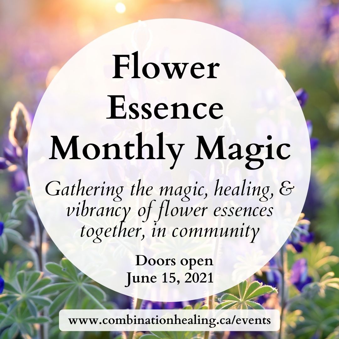 image from Flower Essence Monthly Magic