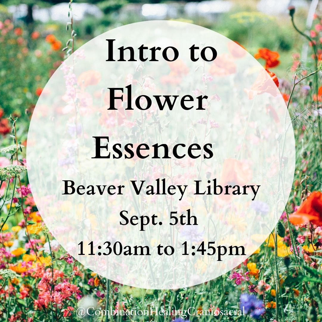 image from Intro to Flower Essences Talk