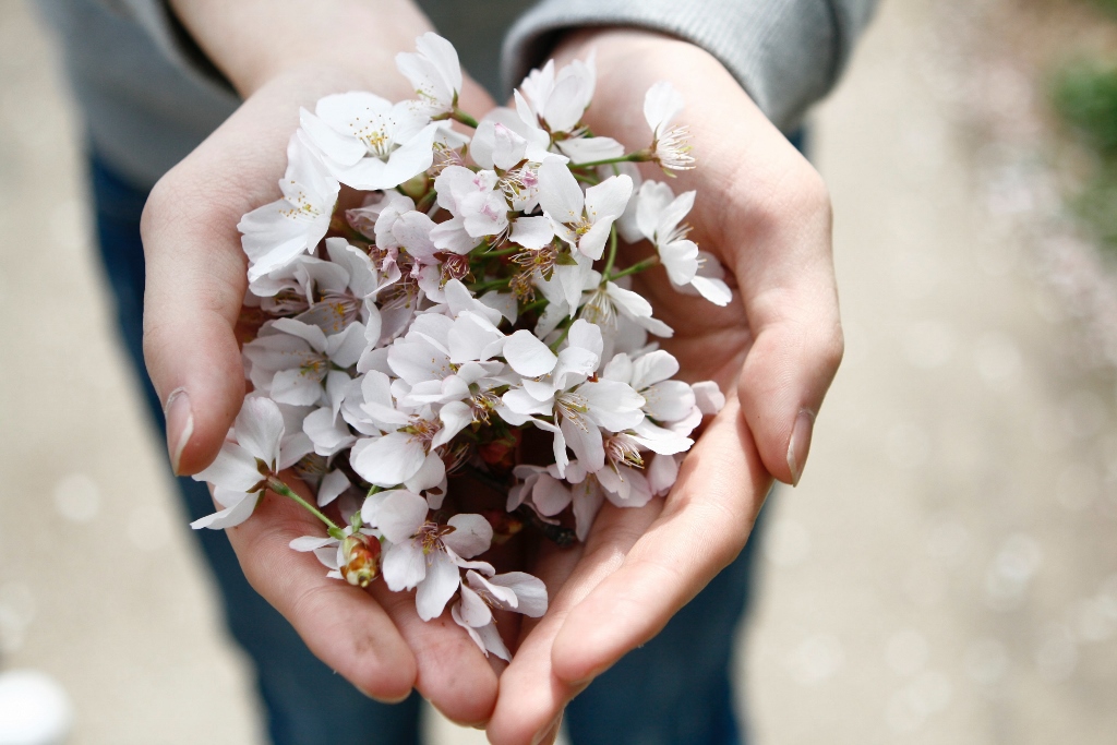White flowers being held in hands