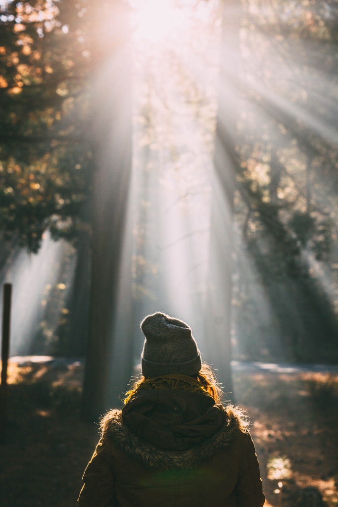 woman walking in forest with sunshine overhead