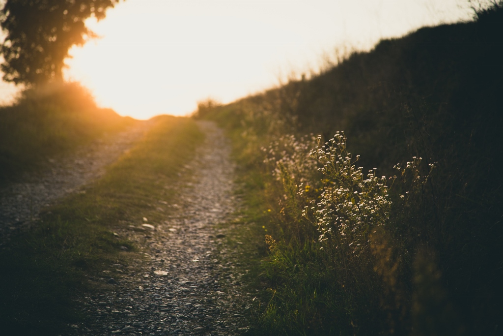 Sunlight on path