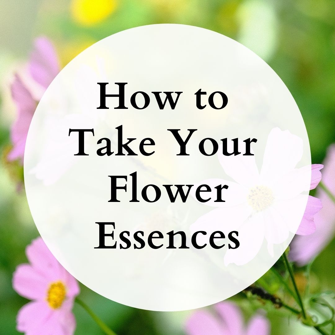 image from How to Take Your Flower Essences